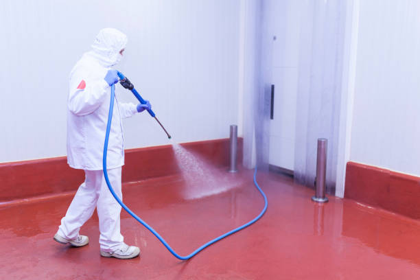 Best Factory Floor Cleaning  in Cayuga, IN