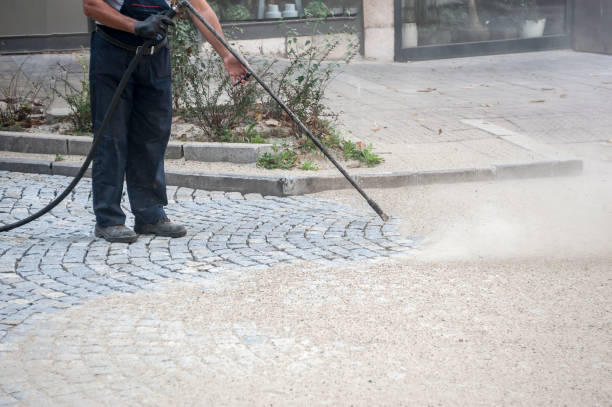 Best Dumpster Area Cleaning  in Cayuga, IN