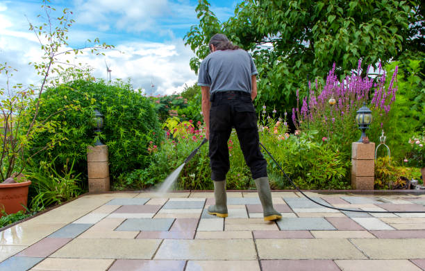  Cayuga, IN Pressure Washing Pros