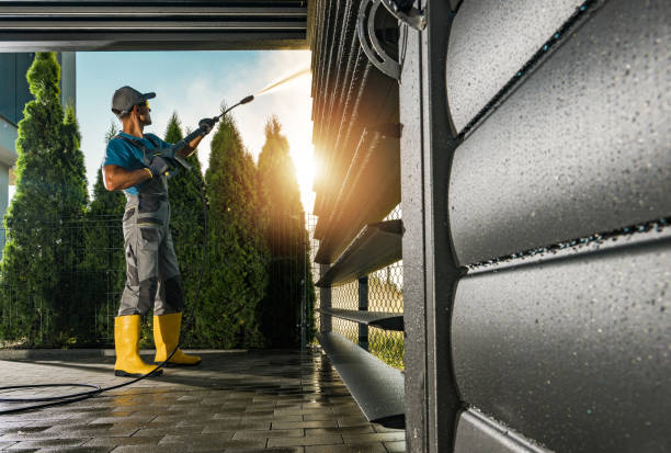 Best Rust Removal  in Cayuga, IN