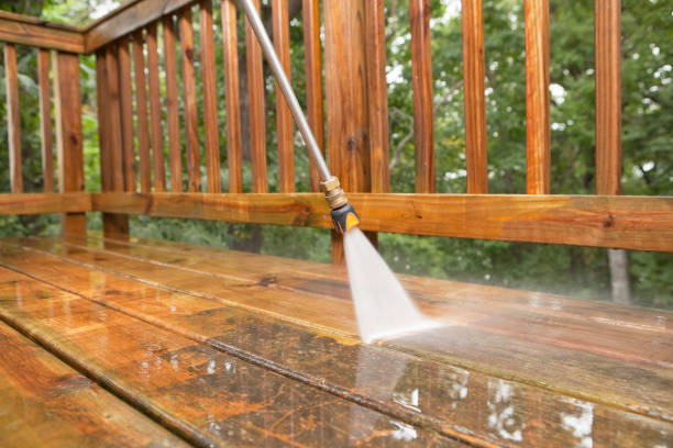 Best Animal Enclosure Cleaning  in Cayuga, IN