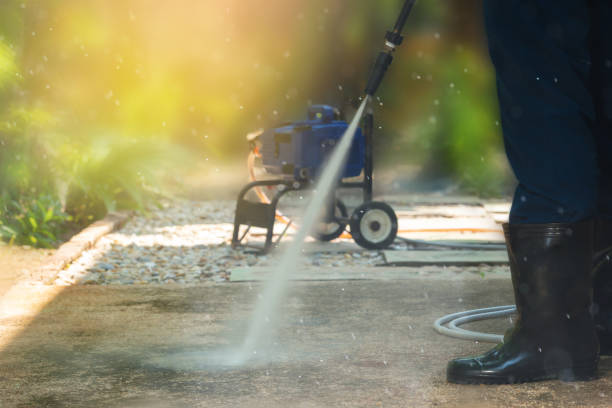 Best Driveway Pressure Washing  in Cayuga, IN